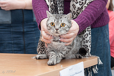 click for enlarge 1920 X 1279 889.5 Kb picture