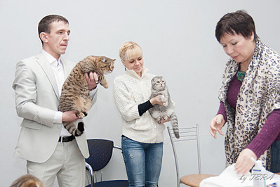 click for enlarge 1920 X 1280 537.9 Kb picture