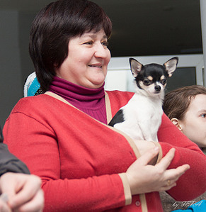 click for enlarge 1803 X 1854 628.4 Kb picture