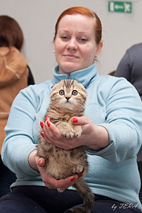 click for enlarge 1728 X 2592 859.2 Kb picture