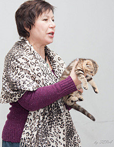 click for enlarge 1920 X 2464 433.5 Kb picture