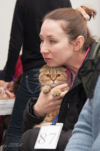 click for enlarge 1458 X 2187 453.9 Kb picture