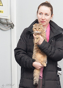 click for enlarge 1322 X 1835 353.8 Kb picture