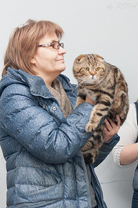 click for enlarge 1480 X 2219 693.5 Kb picture