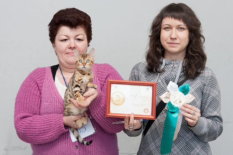 click for enlarge 1920 X 1280 912.0 Kb picture