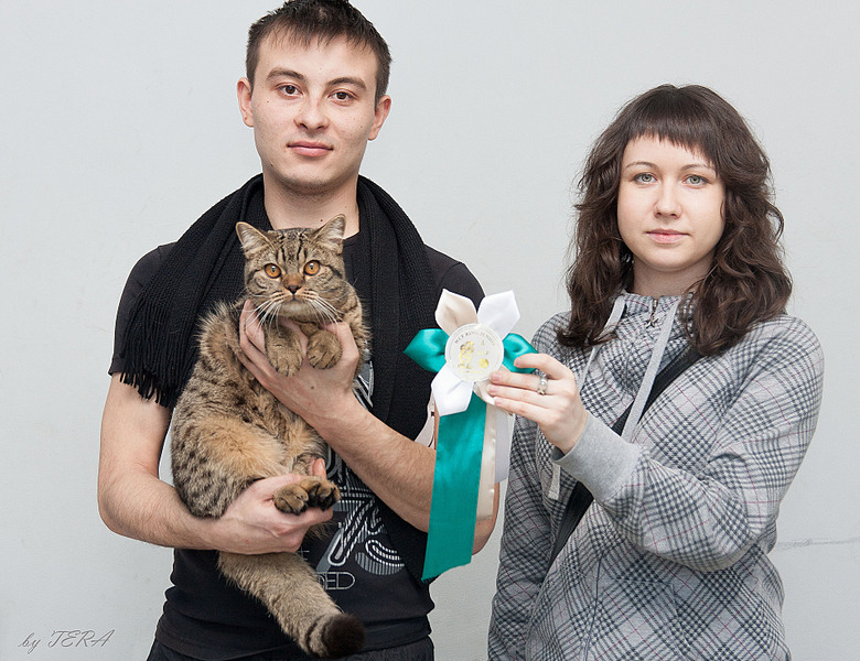 click for enlarge 1920 X 1475 922.6 Kb picture