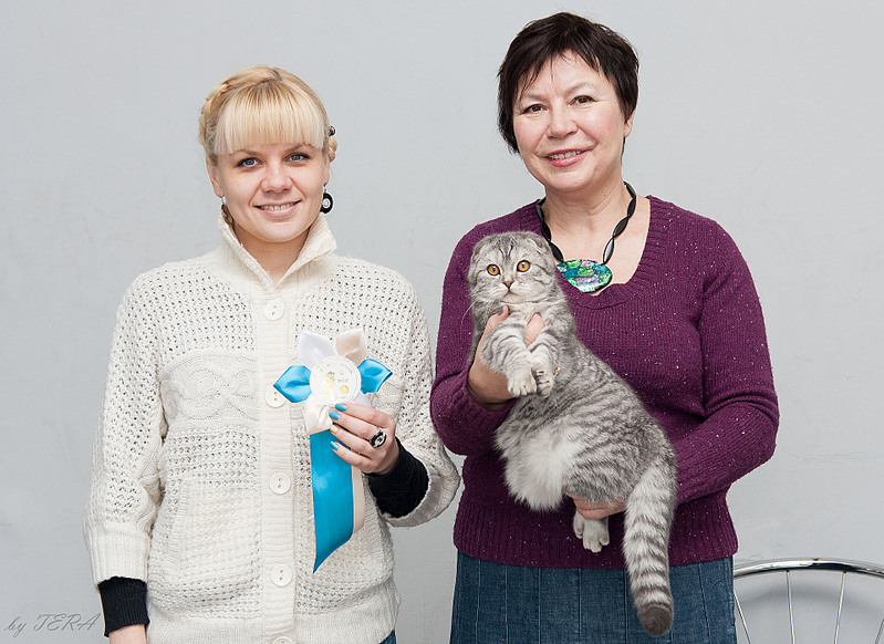 click for enlarge 1920 X 1398 778.6 Kb picture