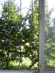 click for enlarge 1254 X 1672 841.2 Kb picture