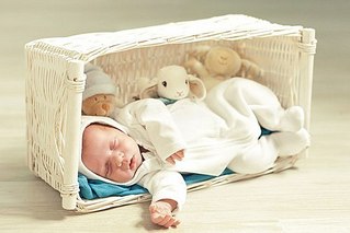 click for enlarge 500 X 334  29.5 Kb picture