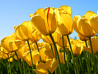 click for enlarge 1024 X 768 606.3 Kb picture