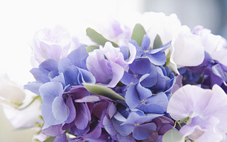 click for enlarge 1920 X 1200 226.7 Kb picture