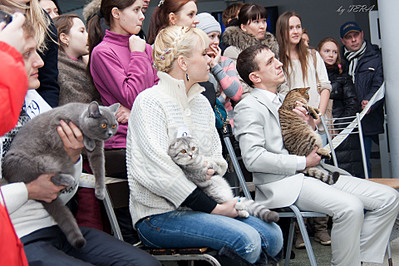 click for enlarge 1920 X 1280 691.9 Kb picture