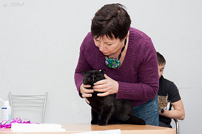 click for enlarge 1920 X 1279 389.4 Kb picture