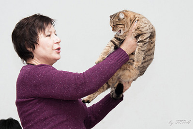 click for enlarge 1920 X 1280 465.5 Kb picture