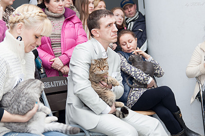 click for enlarge 1920 X 1275 573.3 Kb picture