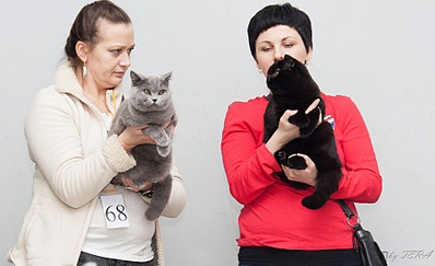 click for enlarge 1920 X 1170 393.0 Kb picture