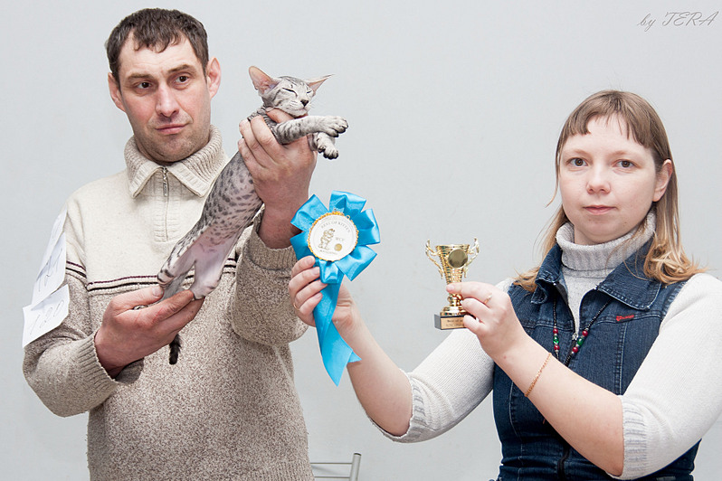 click for enlarge 1920 X 1279 585.2 Kb picture