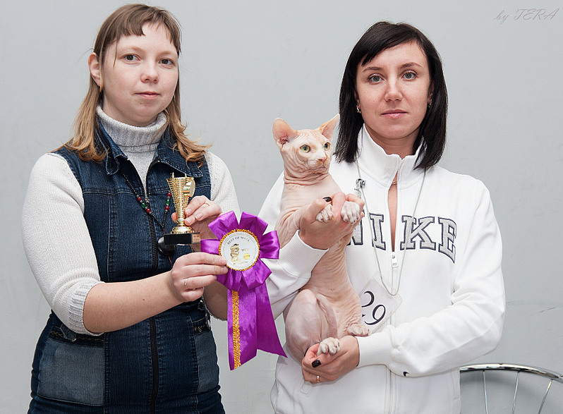 click for enlarge 1920 X 1411 748.1 Kb picture