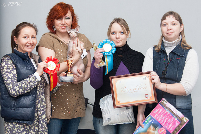 click for enlarge 1920 X 1280 739.2 Kb picture