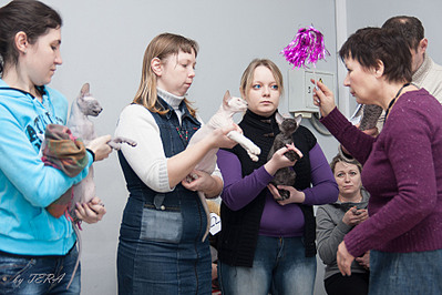 click for enlarge 1920 X 1280 660.7 Kb picture