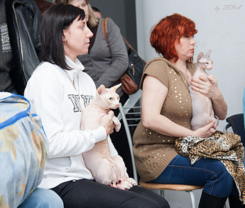 click for enlarge 1920 X 1630 968.6 Kb picture