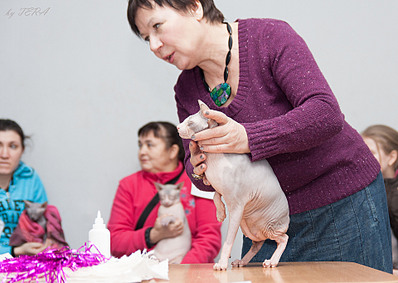 click for enlarge 1920 X 1362 746.5 Kb picture