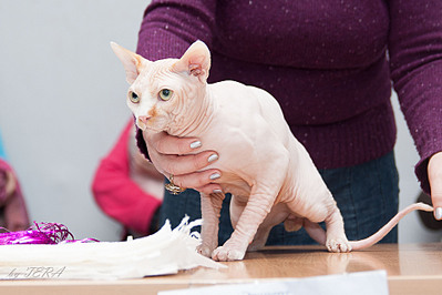 click for enlarge 1920 X 1280 545.8 Kb picture