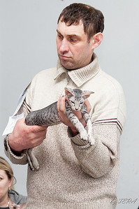 click for enlarge 1519 X 2279 672.9 Kb picture