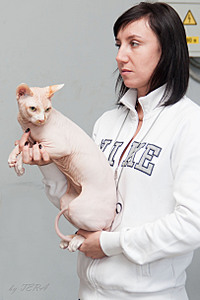 click for enlarge 1620 X 2430 347.0 Kb picture