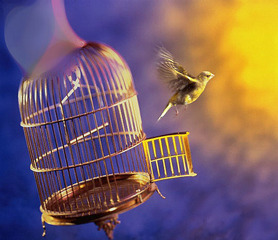 click for enlarge 540 X 466 60.3 Kb picture