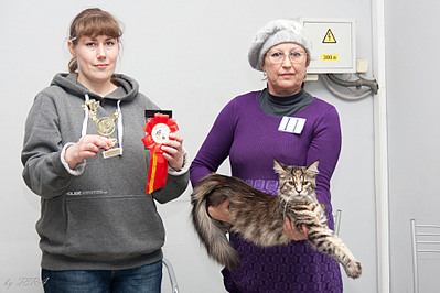 click for enlarge 1920 X 1279 554.8 Kb picture