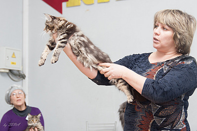 click for enlarge 1920 X 1280 495.6 Kb picture