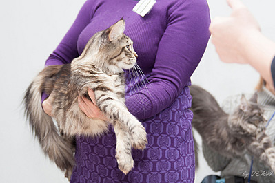 click for enlarge 1920 X 1280 594.1 Kb picture