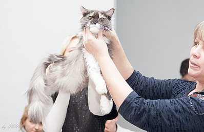 click for enlarge 1920 X 1238 397.5 Kb picture