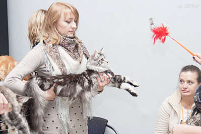 click for enlarge 1920 X 1280 526.9 Kb picture