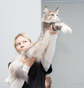 click for enlarge 1920 X 2011 879.3 Kb picture