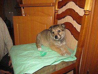 click for enlarge 1600 X 1200 441.2 Kb picture