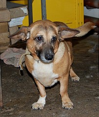 click for enlarge 1109 X 1306 285.8 Kb picture