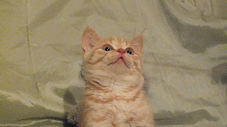 click for enlarge 1920 X 1080 594.1 Kb picture