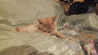 click for enlarge 1920 X 1080 647.4 Kb picture