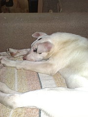 click for enlarge 1920 X 2560 594.7 Kb picture