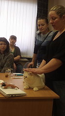 click for enlarge 1456 X 2592 403.3 Kb picture