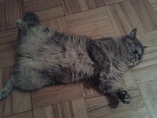 click for enlarge 1920 X 1440 614.1 Kb picture