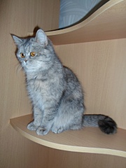 click for enlarge 768 X 1024 137.6 Kb picture