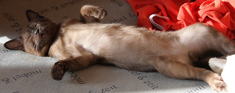 click for enlarge 1024 X 407 239.2 Kb picture