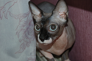 click for enlarge 1920 X 1276 113.5 Kb picture