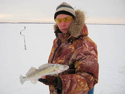 click for enlarge 1920 X 1440 173.5 Kb picture