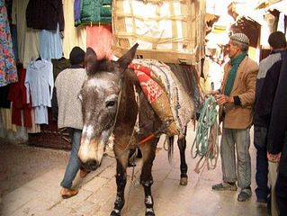 click for enlarge 550 X 413 52.3 Kb picture