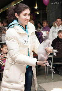 click for enlarge 1555 X 2288 827.9 Kb picture