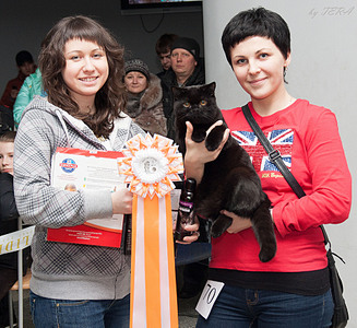 click for enlarge 1920 X 1757 452.8 Kb picture